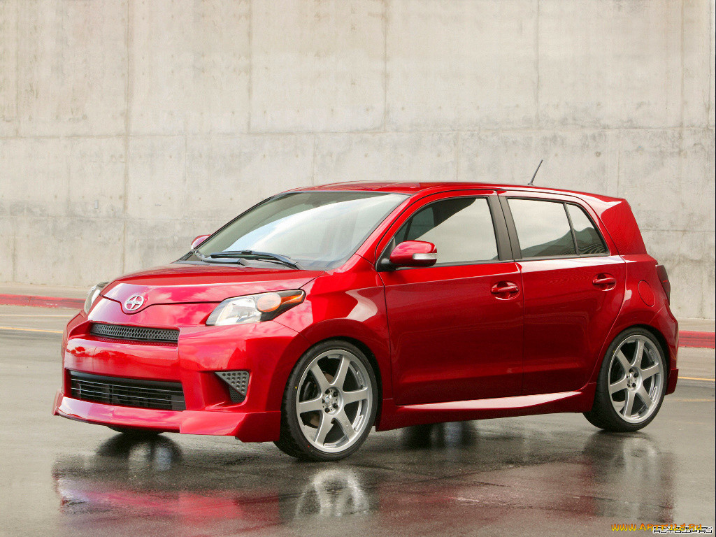 , scion